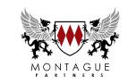 Montague Partners - Insurer Find 0