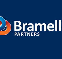 Bramelle Partners - Insurer Find