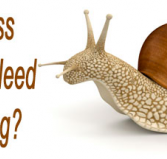 Avance - House Insurance Australia