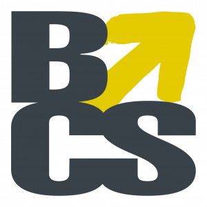 BCS Super Auditors - Insurer Find 0