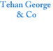 Tehan George  Co - Insurer Find