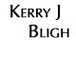 Kerry J. Bligh - Insurance Yet 0