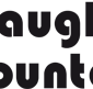 McLaughlin Accountants - Insurer Find