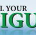 All Your Figures - Insurer Find