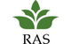 Rapid Accounting Solutions - thumb 1