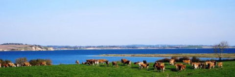 Julie Meek - Rural Bookkeeping Service - House Insurance Australia 1