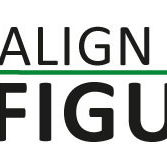 Align Your Figures Bookkeeping Services - Insurer Find
