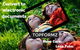 TopCare4Kidz - thumb 1