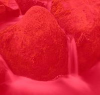 RedFrog Bookkeeping - Insurer Find