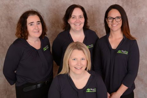 Money Tree Bookkeeping - Insurance Yet 0
