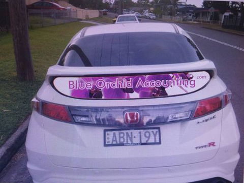 Blue Orchid Accounting - Insurer Find 3
