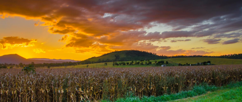 CQ Accounting Services - House Insurance Australia 1