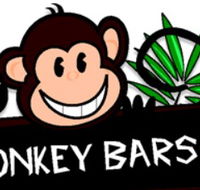 Monkey Bars Canning Vale Play  Learn