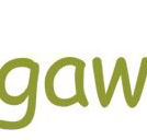 Bungawitta Child Care Centre - Insurer Find