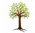 Kadina Child Care Centre - Insurer Find