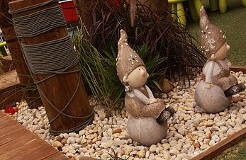 Curious Kids - House Insurance Australia 3