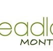 Headland Montessori ELC - Insurer Find