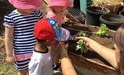 Maitland Family Day Care Trading As Five Star Family Day Care - Insurer Find 3