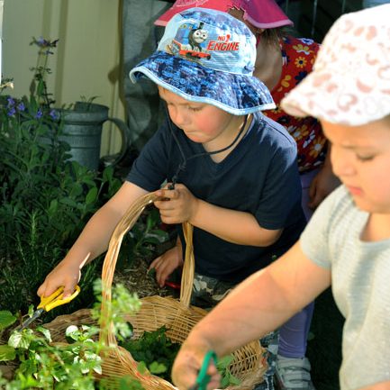 Peter Pan Pre-School Wollongong - Insurer Find 3