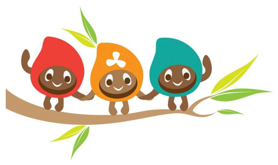 Buderim QLD Insurer Find