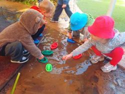 Cameron Park Early Learning Centre - Insurer Find 4