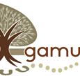 Gamumbi Early Childhood Education Centre - Insurance Yet