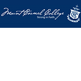 Mount Carmel College - Insurance Yet