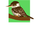 Little Kookas Kingsthorpe Childcare - Insurer Find