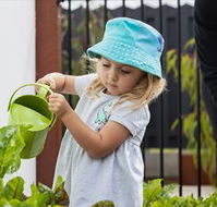 Nido Early School Pennington - Insurer Find