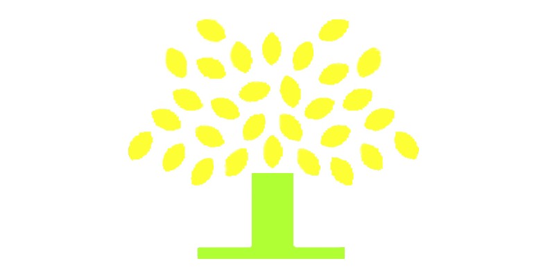 Toorak Gardens SA Insurer Find