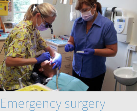 Biltoft's Dental Surgery - Insurer Find 3