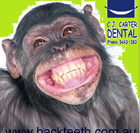 C J Carter Dental - Insurance Yet