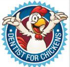 Dentists for chickens