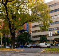 St Vincent's Dental Centre - Insurer Find