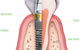 St Vincent's Dental Centre - thumb 6