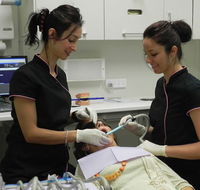 Gentle amp Caring Dentistry - Insurer Find