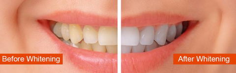 MS Dental Cardiff - House Insurance Australia 6