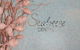 Seabreeze Dental - thumb 6