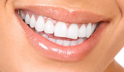 Hermitage Dental - Insurer Find 13