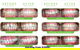 CUMULUS DENTAL - thumb 11