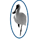 Pinjarra Dental Surgery