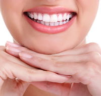 Port Douglas Dentist - Insurer Find