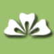 Soni Dental - Insurance Yet