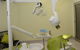 Ferny Grove Dental - thumb 3