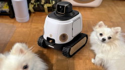 AI robot may stop your dog from barking while you're gone Insurance Yet