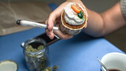 Cannabis cafes may become tourist draw in US city as lung experts cite 'toxic chemical' concerns Insurance Yet