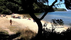 Deadly mystery unfolds as canoeists are found unresponsive after midnight trip Insurance Yet