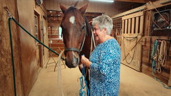 Farmers offering on-site vacation rentals to combat rising costs Insurance Yet