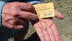 Grandfather finds hidden treasure in plain sight as park officials 'dumbfounded' by discovery Insurance Yet