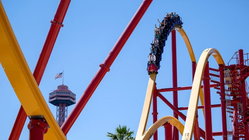 Popular amusement park bans guest for life after roller coaster stunt viral video Insurance Yet